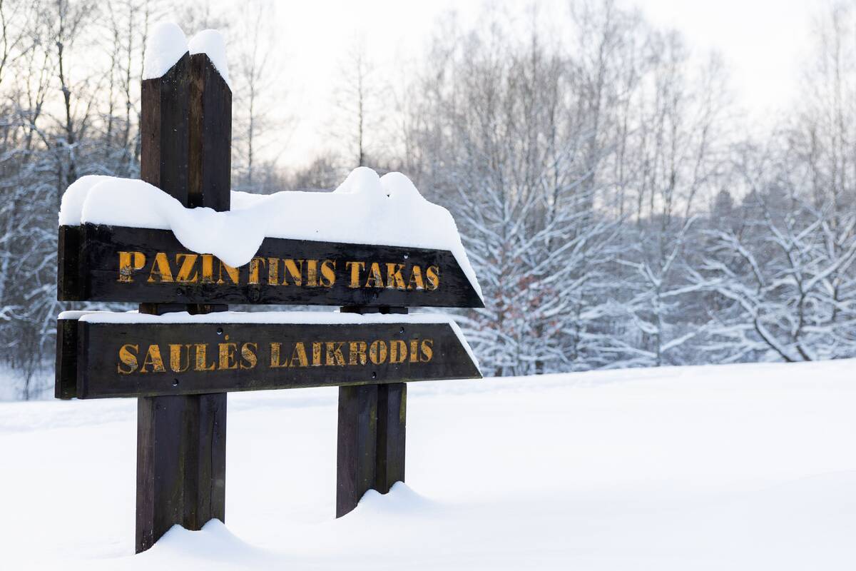 Saulėtas žiemos sekmadienis Vilniuje