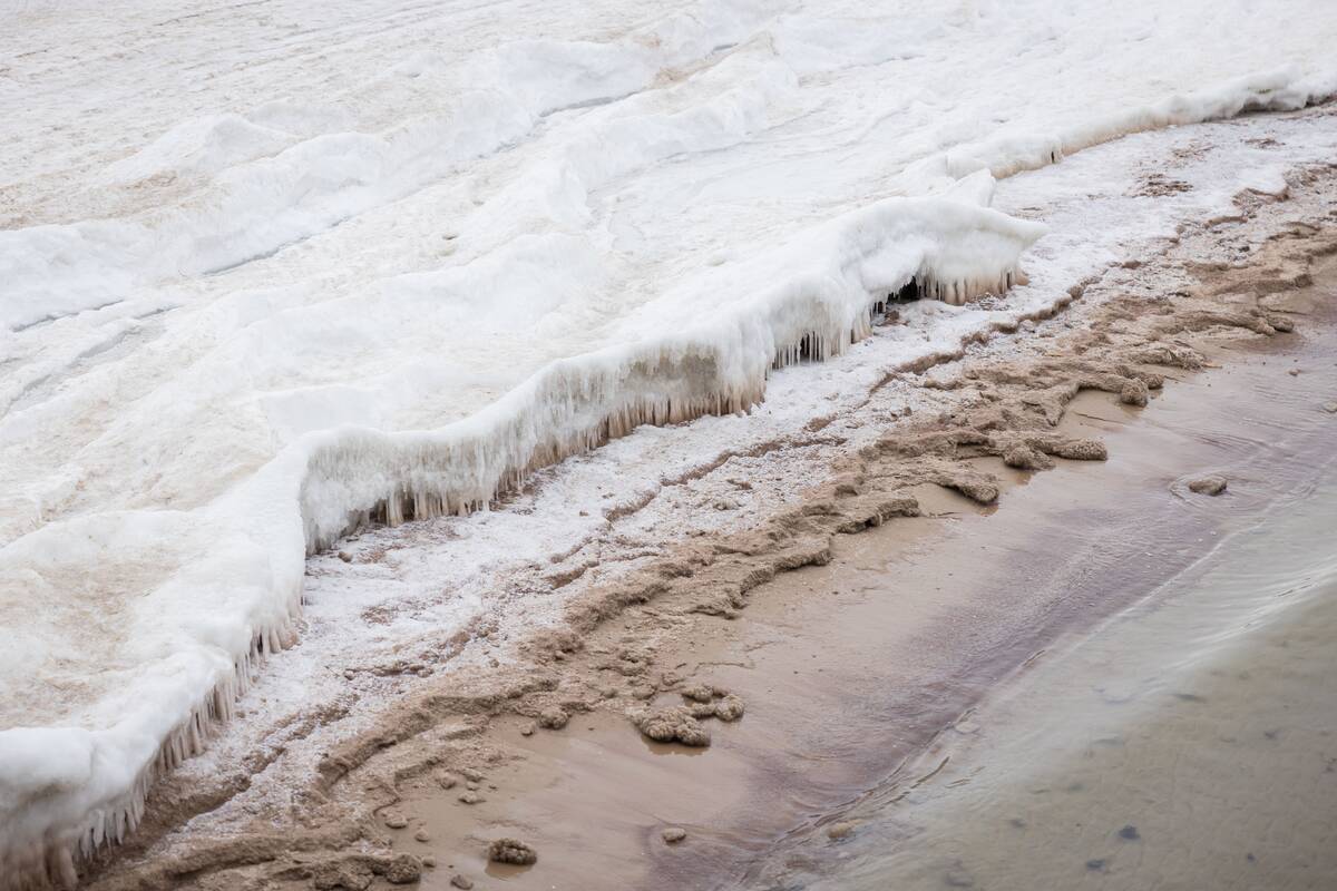 Šalčio paliesta Palanga
