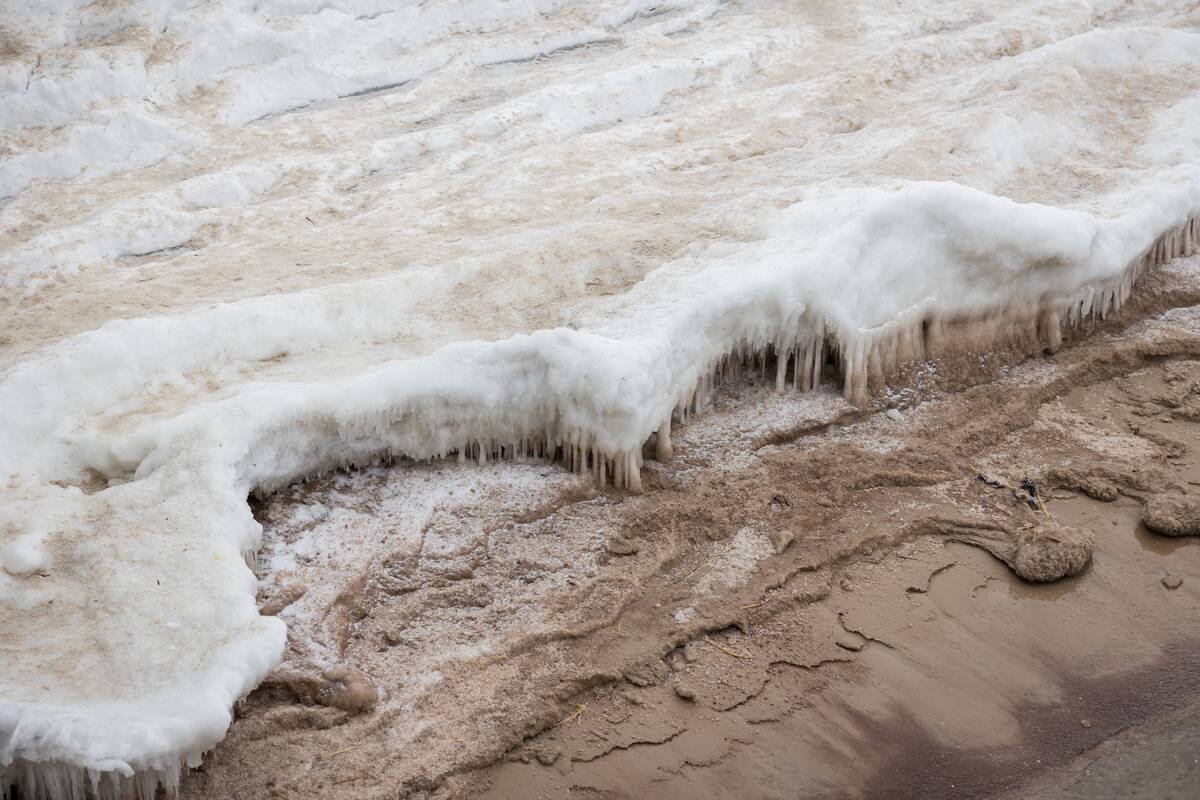 Šalčio paliesta Palanga