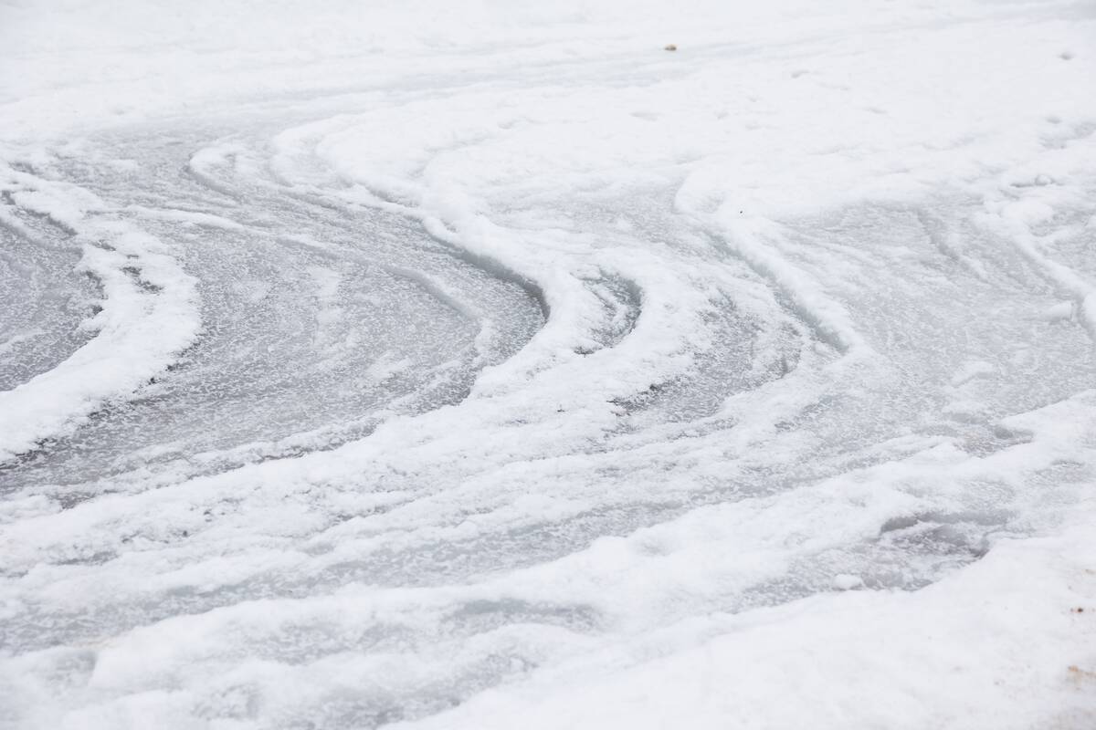 Šalčio paliesta Palanga