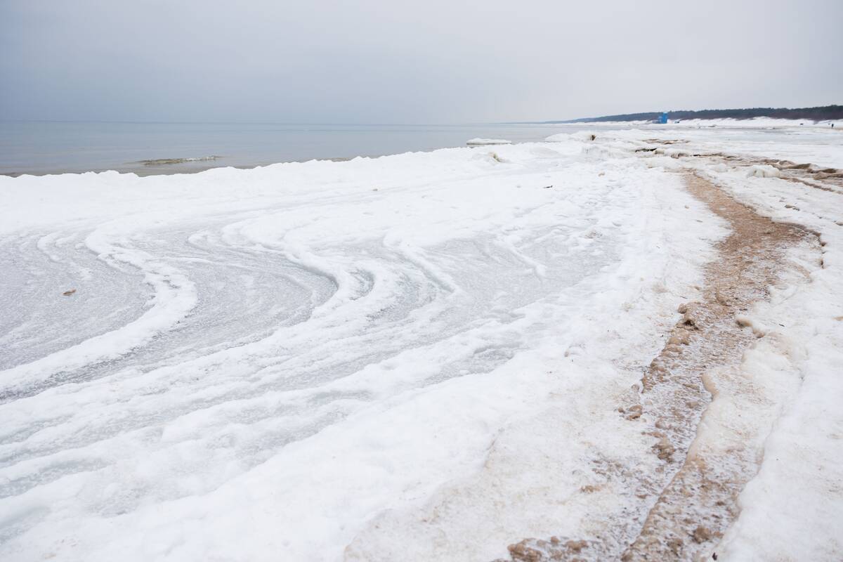 Šalčio paliesta Palanga