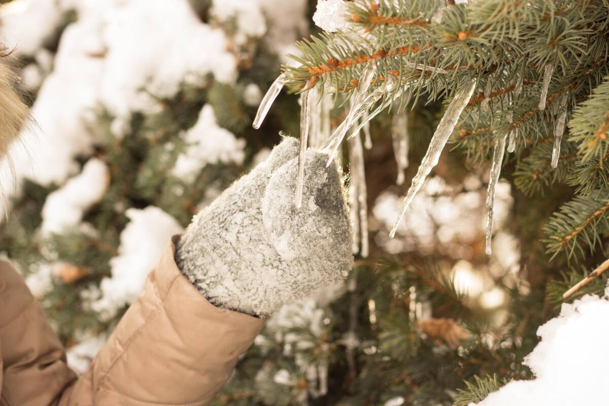 Astrologinė prognozė sausio 26–vasario 1 d.