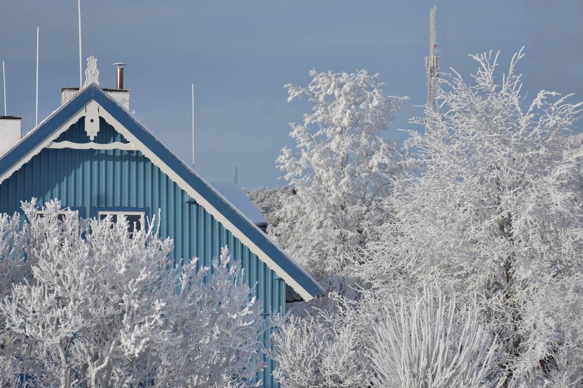 Neringa pasipuošė šerkšnu