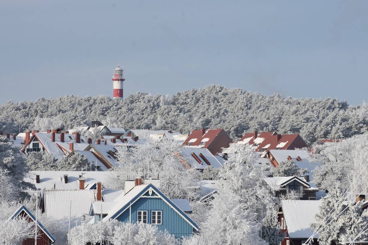 Neringa pasipuošė šerkšnu
