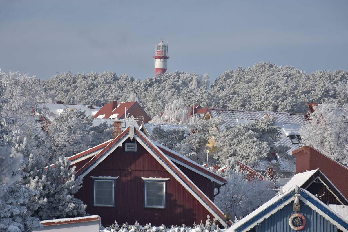 Dienos horoskopas 12 Zodiako ženklų (sausio 9 d.)