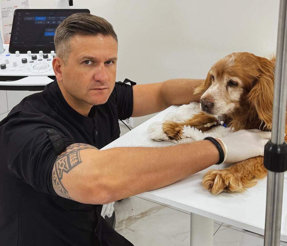 Iš veterinaro – prastos žinios apie kastuvu talžytą ir gyvą užkastą šunelį Gausą