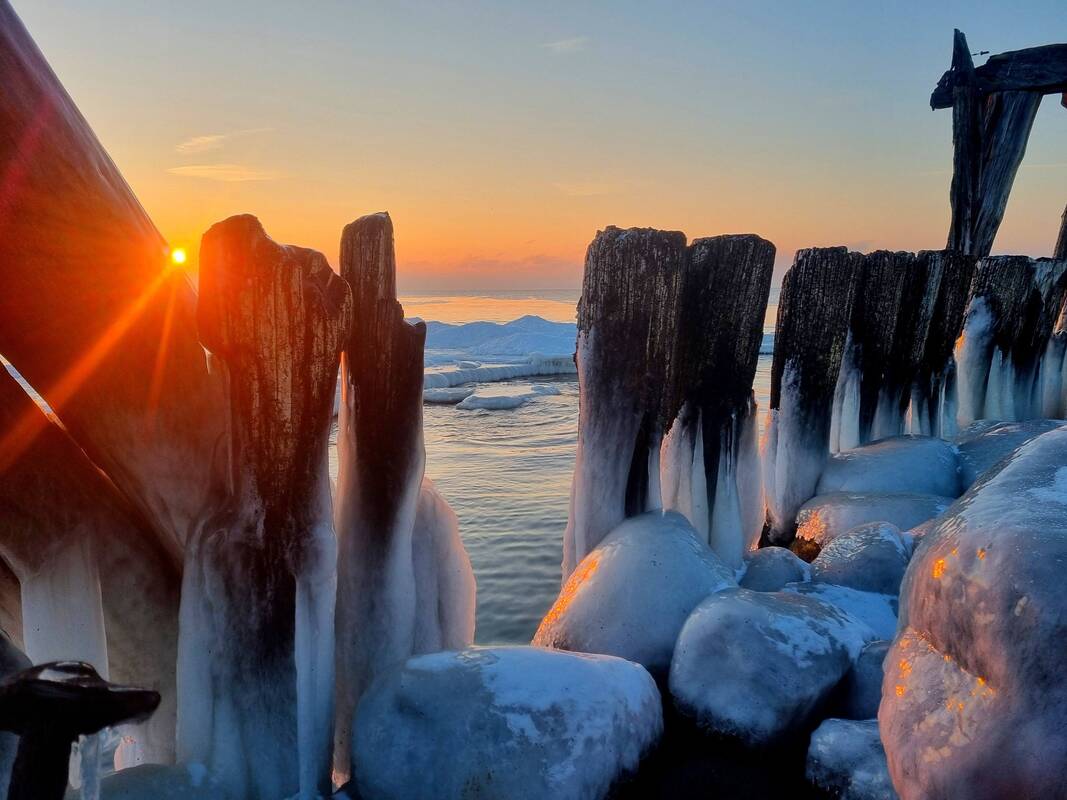 Sinoptikė: bus detektyvas