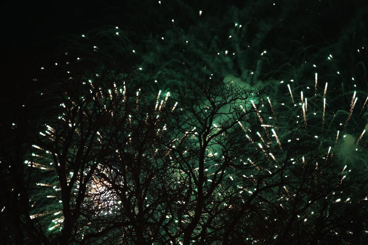 Kaunas džiaugsmingai pasitiko 2026-uosius!  