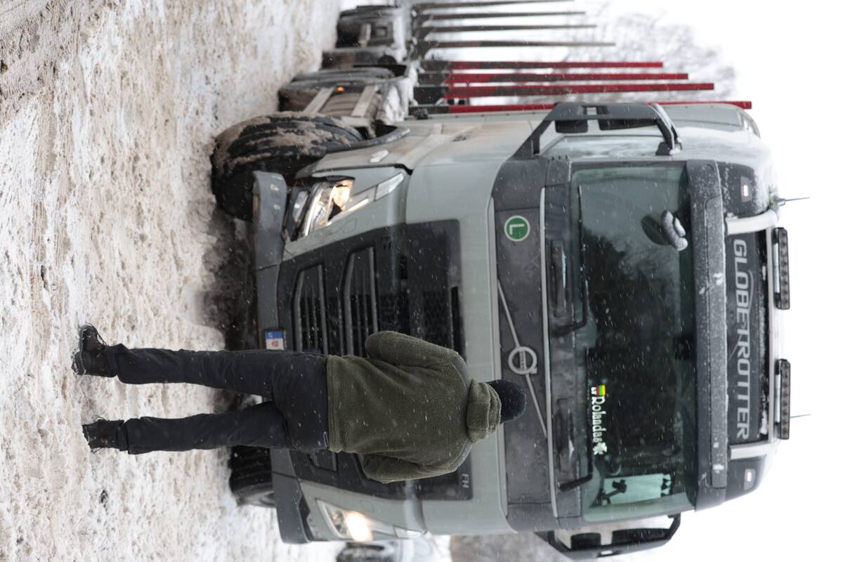 Petrašiūnuose – miškavežio ir lengvojo automobilio akistata