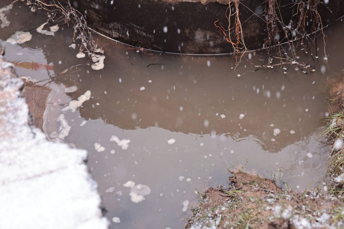 Nemalonūs žiemos siurprizai Kaune: gatvė virto upe