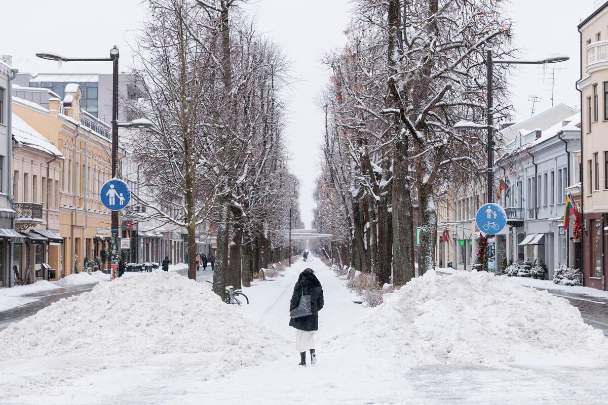 Kauniečių diena (2026-01-28)