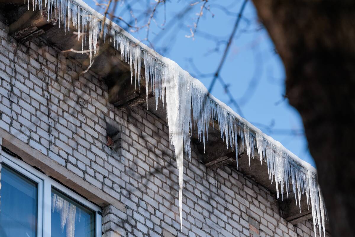 Varvekliai ant Kauno pastatų