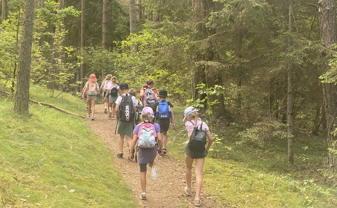 Galimybė: Kačerginės miškuose yra potencialių vietų Miško terapijos takui įrengti.