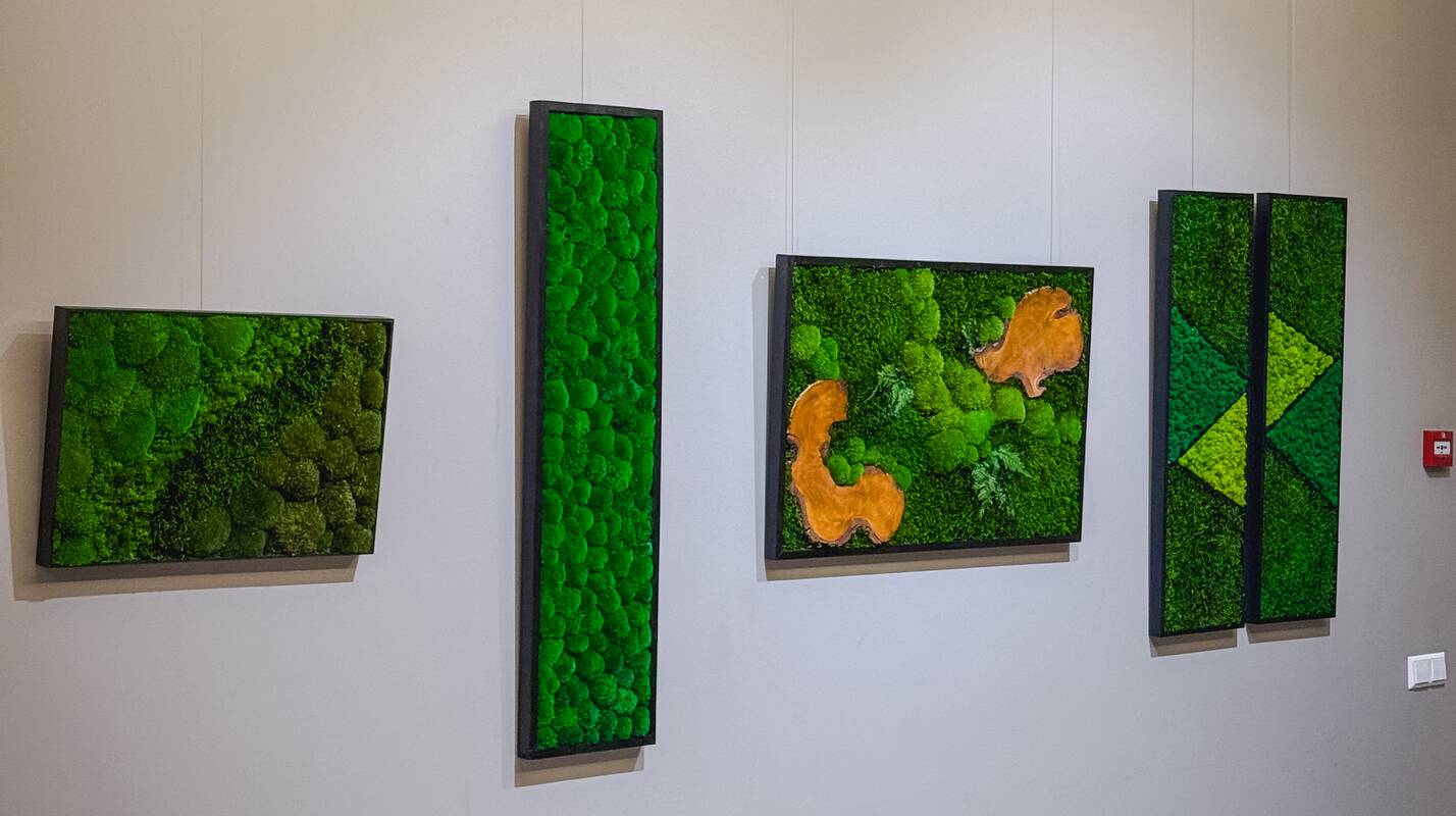 Faktūra: apžiūrint samanų paveikslus, iš atminties išnyra pajūčiai, patirti einant minkštu miško paklotu, jaučiant akustinių gyvybės ženklų prisodrintą atmosferą.