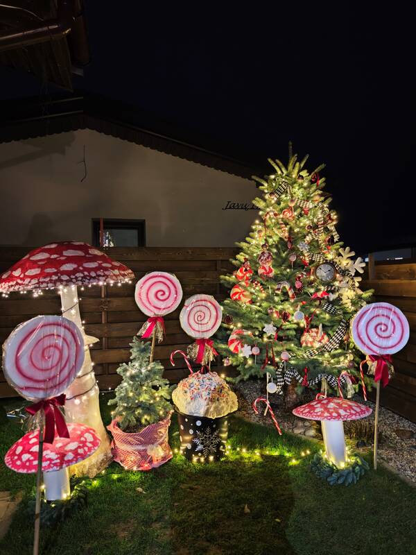 Populiarumas: trečią vietą iškovojo I. Derškuvienės saldžių dekoracijų kompozicija.