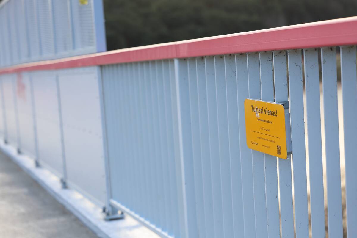 Prie Trijų mergelių tilto – vėl tarnybų sujudimas