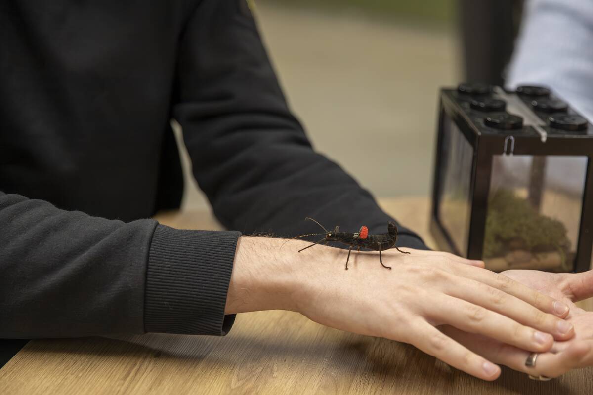 Tarptautinės studentu dienos edukacinis renginys