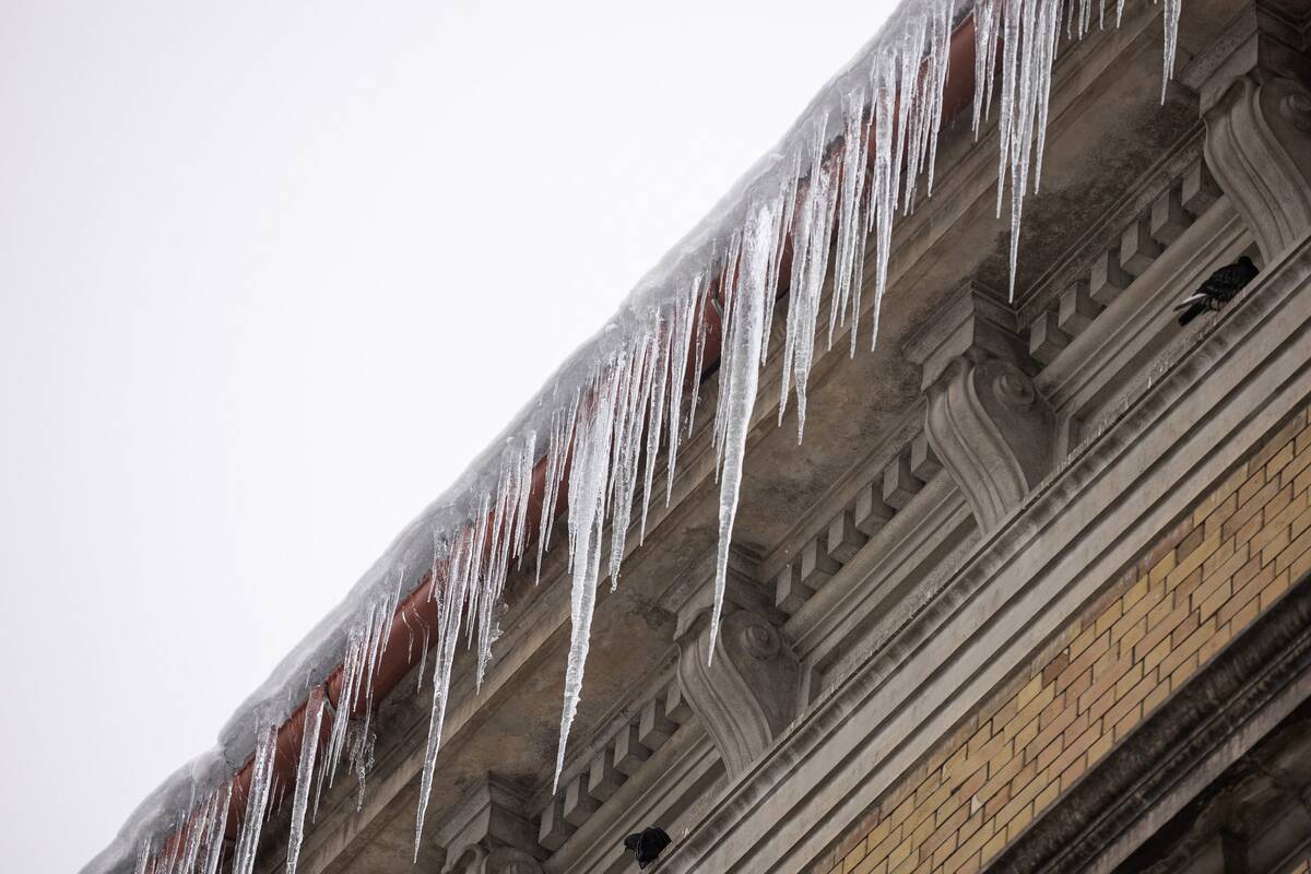 Varvekliai virš galvos: kas turi pasirūpinti, kad žiema netaptų pavojinga?