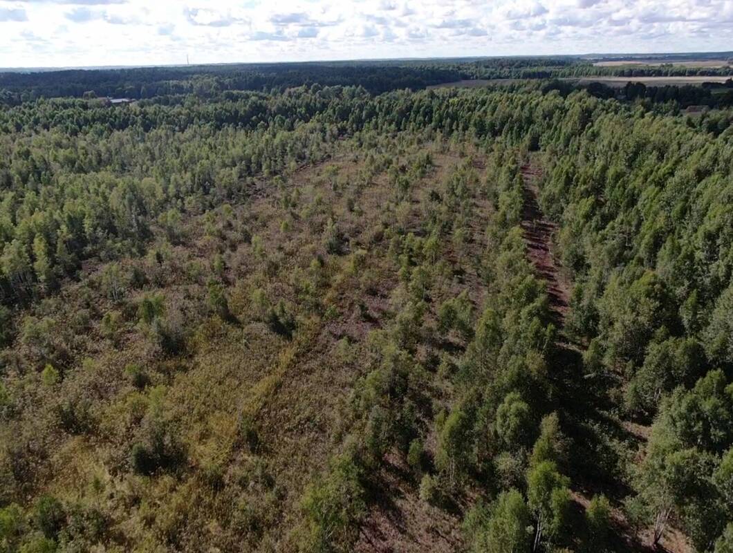 Kaišiadorių rajone atkuriama sovietmečiu sunaikinta pelkė – Dabravolės durpynas