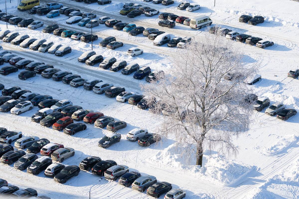 Pasipylus skundams ir įtarimams dėl konfiskuotų automobilių pardavimo skaidrumo – VMI žinutė