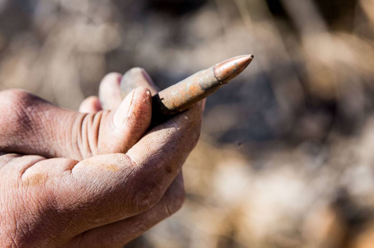 Policija aiškinasi, kas per medžioklę Kėdainių rajone paleido vairuotojo langą sutrupinusį šūvį 