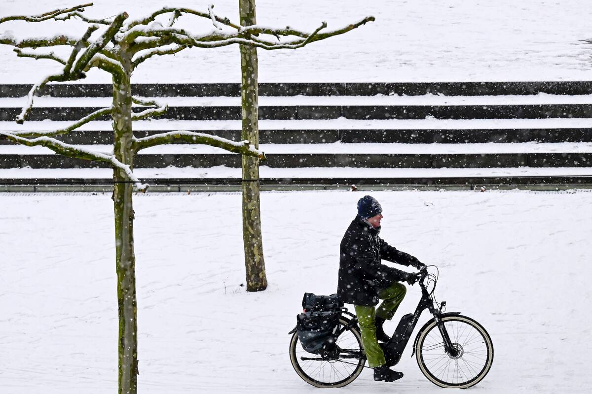 Dėl sniego Nyderlanduose sutriko oro, geležinkelių ir kelių eismas