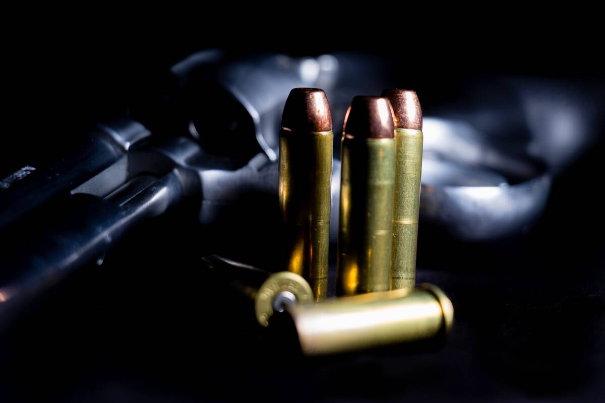 Dėl radinio namo rūsyje teko kviesti policiją