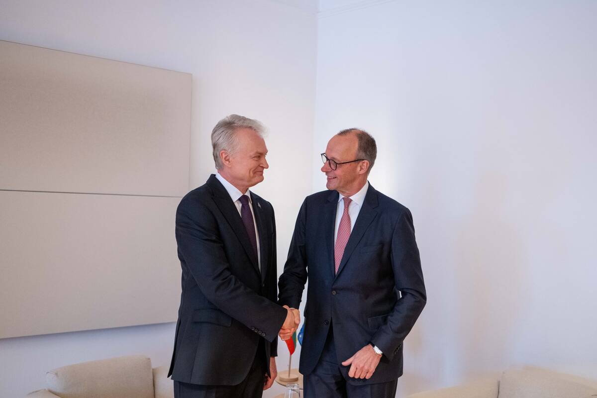 Gitanas Nausėda (kairėje) ir Friedrichas Merzas