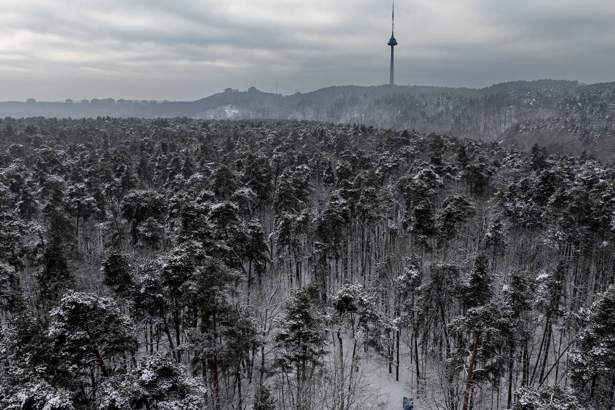 Šalčio sukaustytas Vilnius