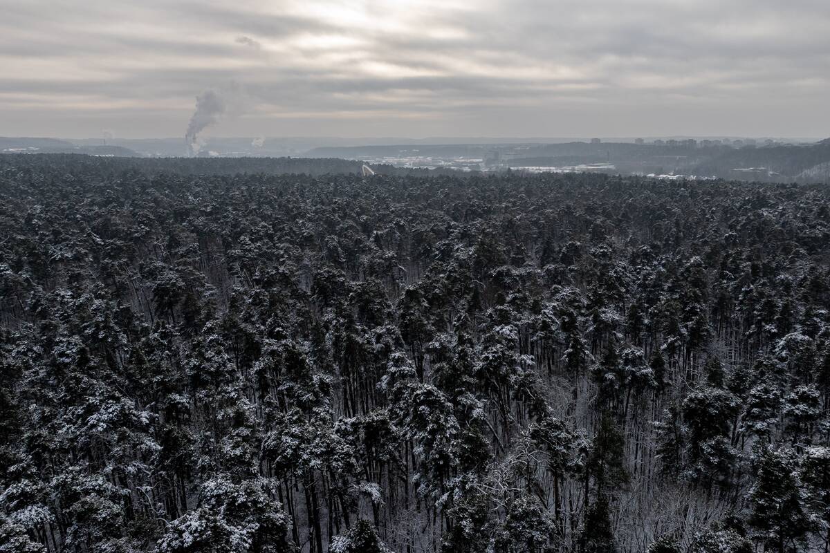 Šalčio sukaustytas Vilnius