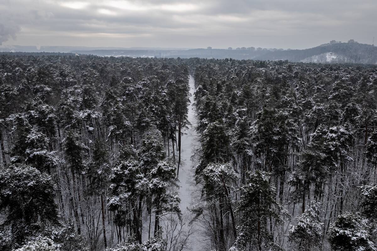 Šalčio sukaustytas Vilnius