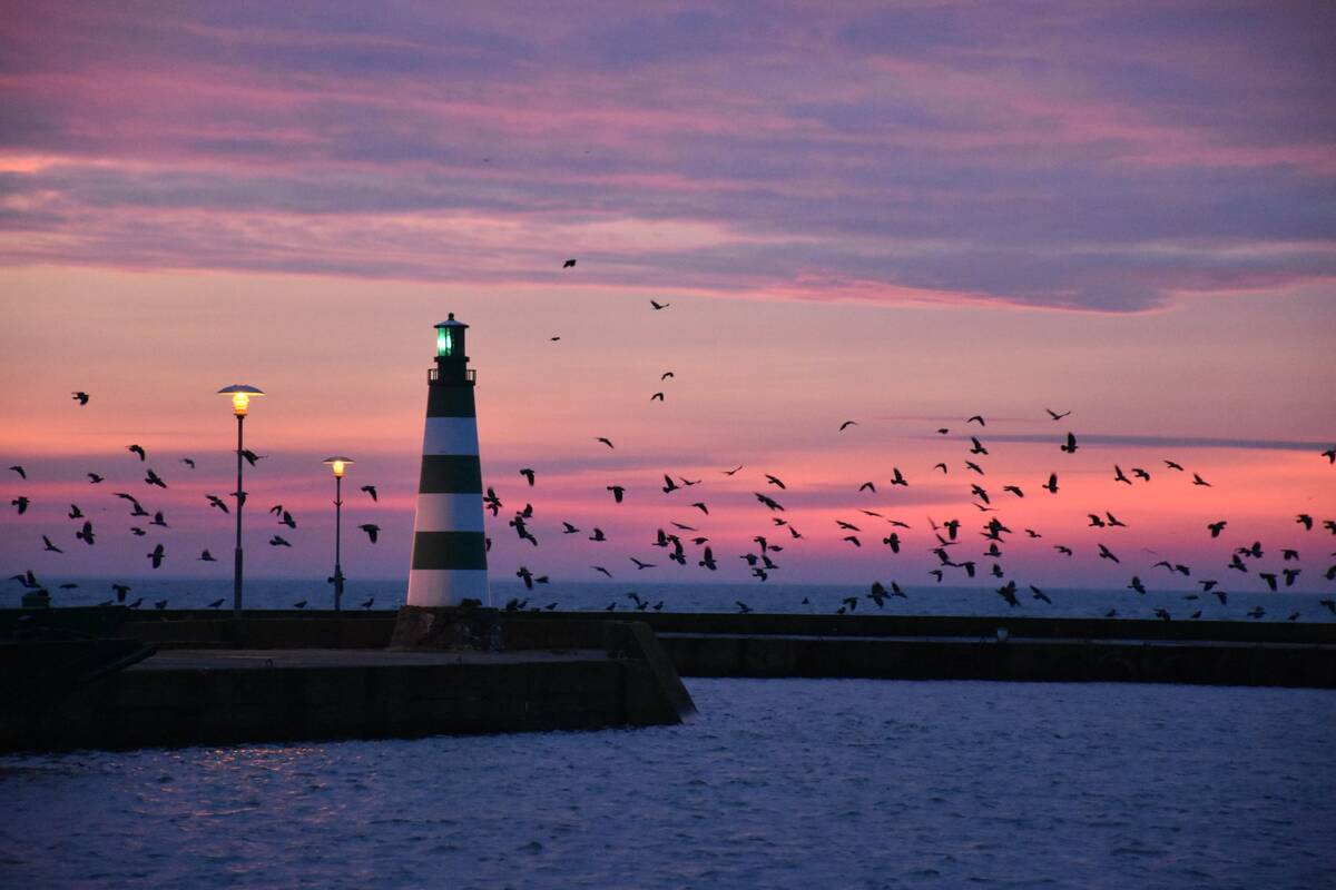  Neringoje – Laisvės gynėjų dienai skirti renginiai