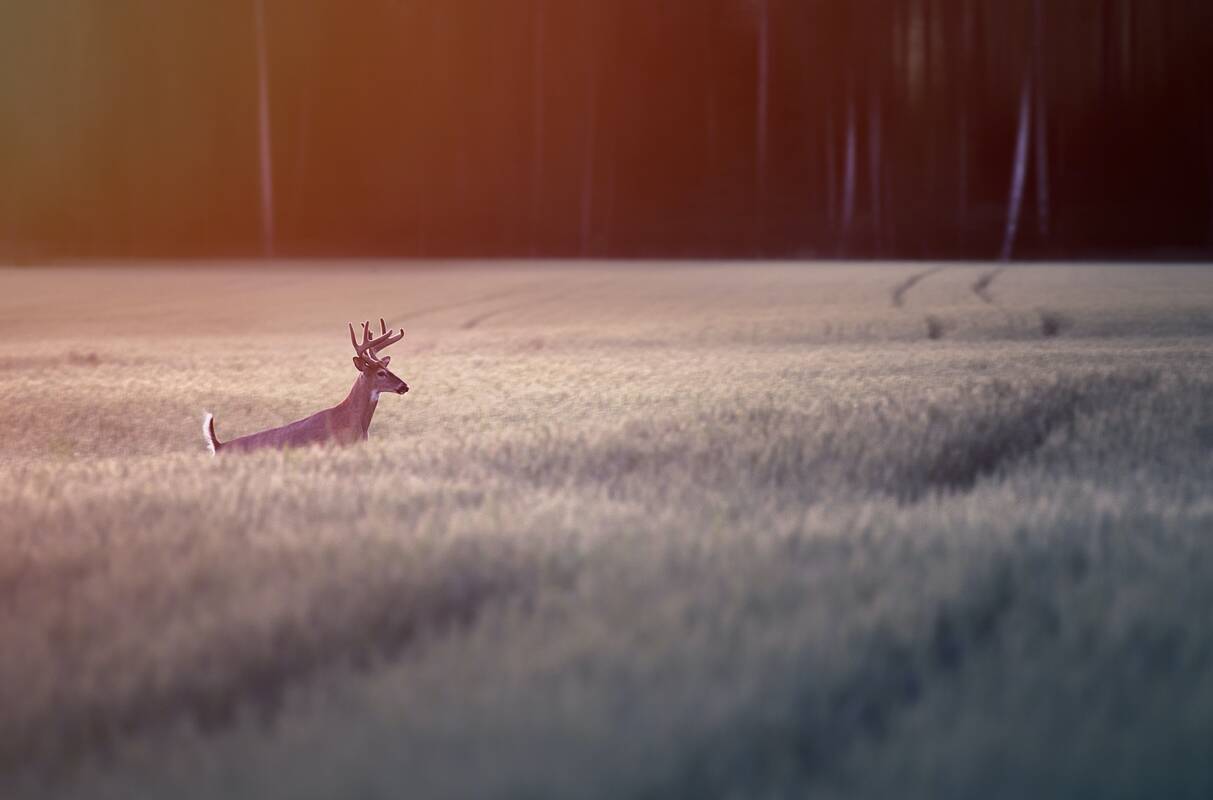 Ūkininkams – gera žinia iš Vyriausybės