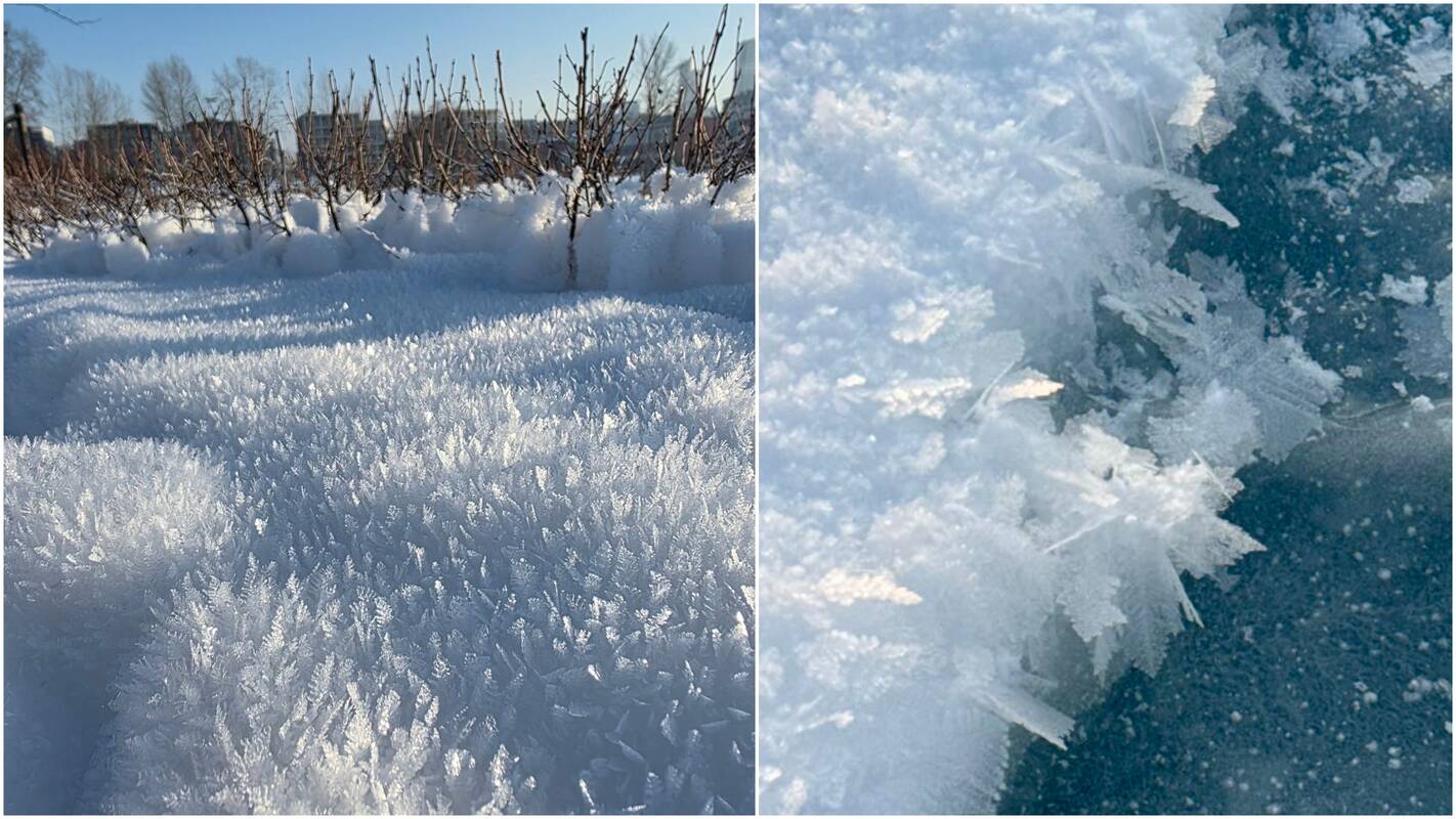 Naujausia orų prognozė: šiltai apsirenkite!
