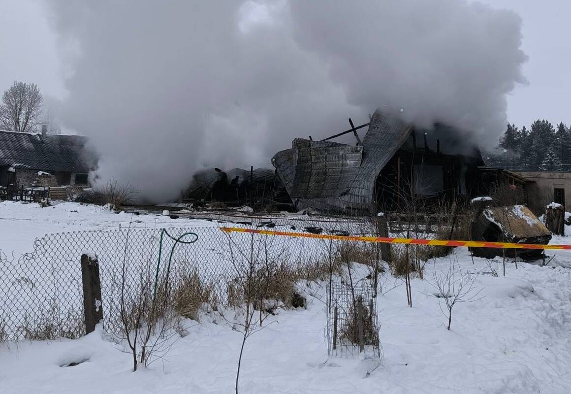 Kupiškio rajone sudegė gyvūnų prieglauda, žuvo gyvūnai