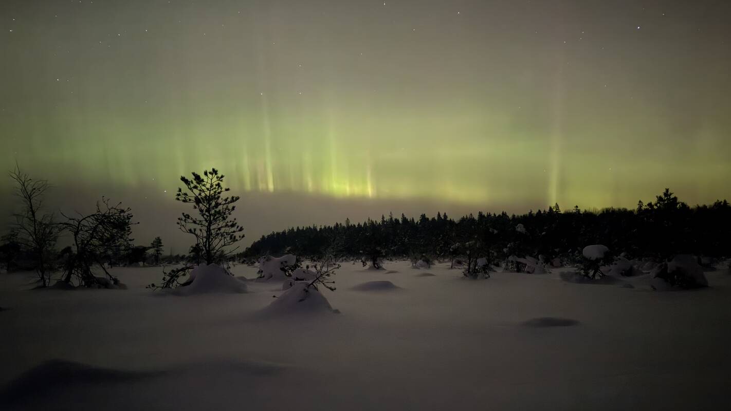 Šiaurės pašvaistė