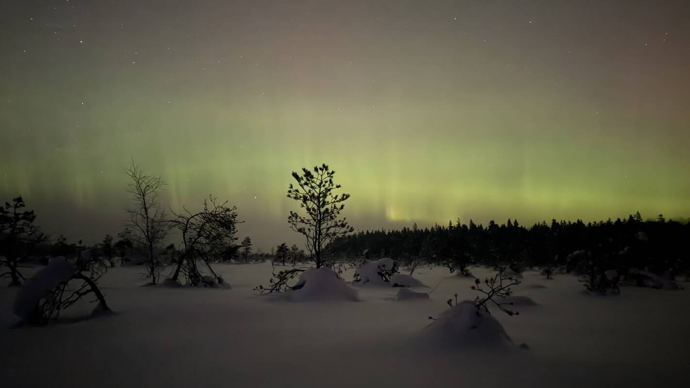 Šiaurės pašvaistė