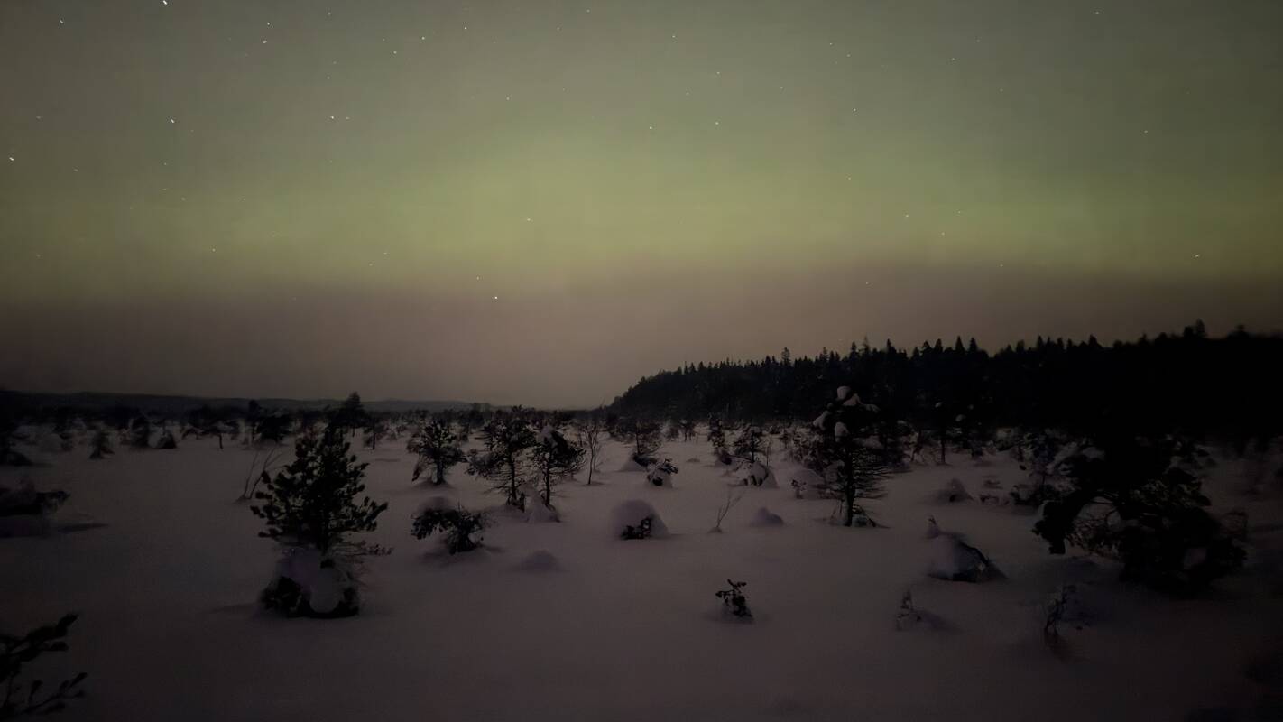 Šiaurės pašvaistė