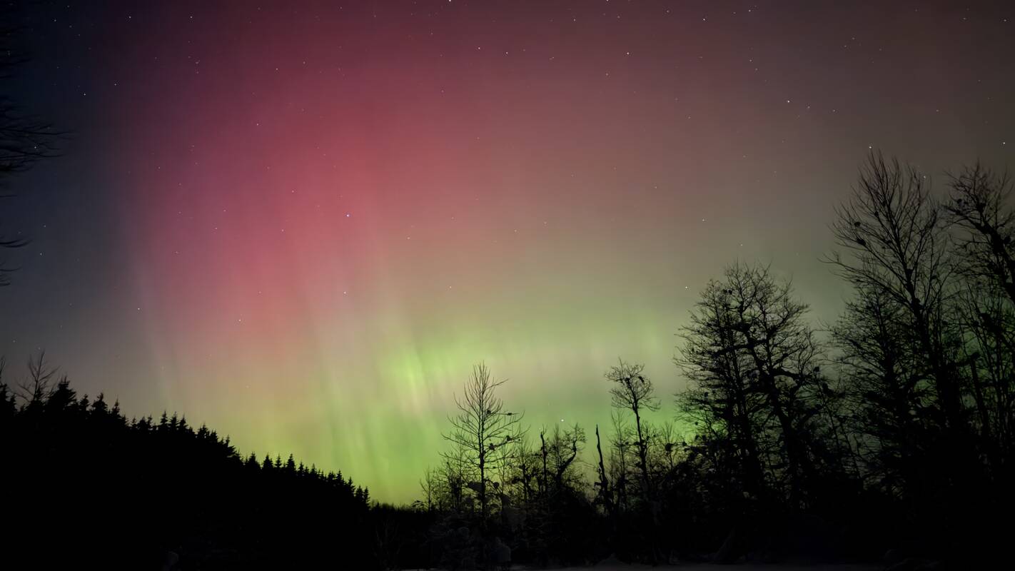 Šiaurės pašvaistė