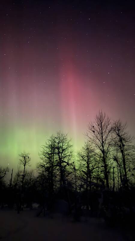 Šiaurės pašvaistė