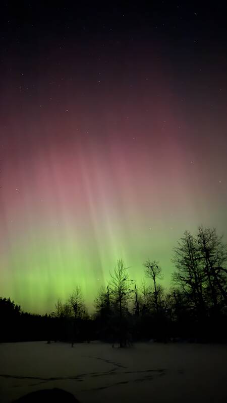 Šiaurės pašvaistė