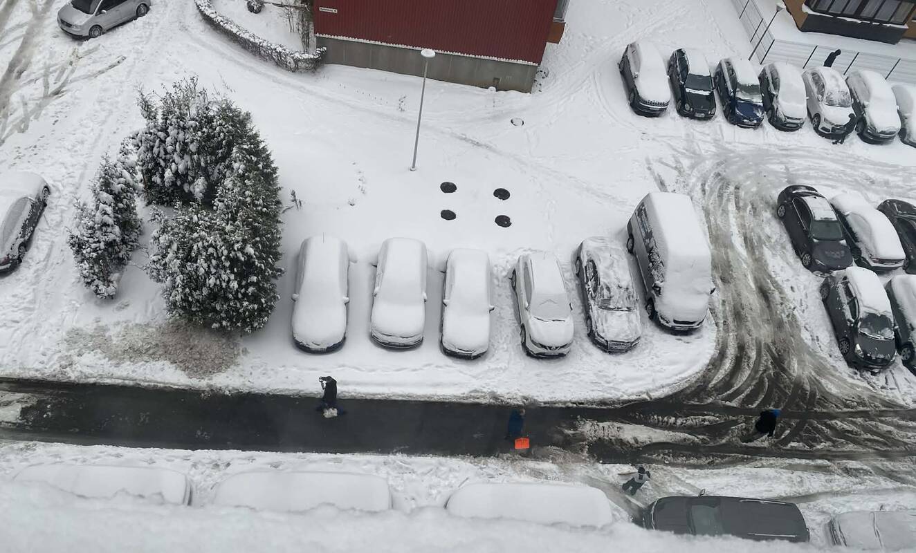 Savanorystė: klaipėdietė užfiksavo, kad ir Rumpiškės gatvėje vyko talka.