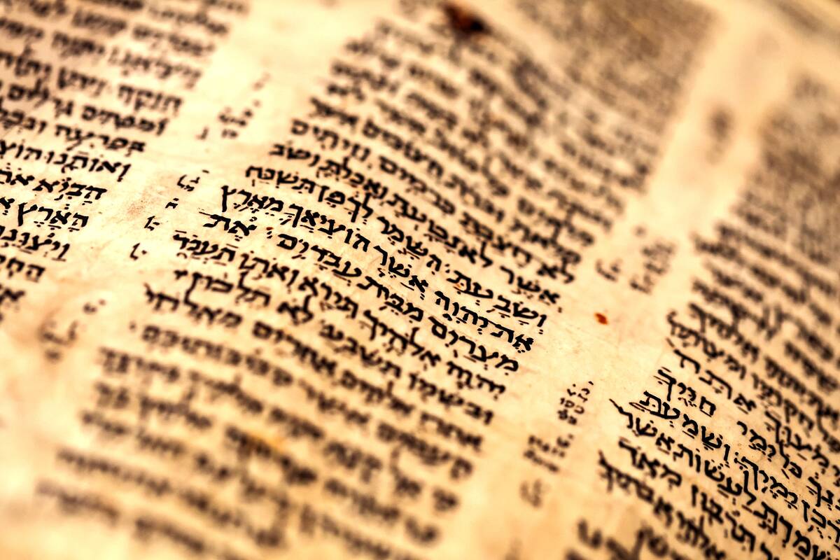 Išvada: mokslininkas iš Italijos nustatė, kad seniausias kada nors rastas biblinis ritinys iš pradžių buvo padalytas į dvi dalis.