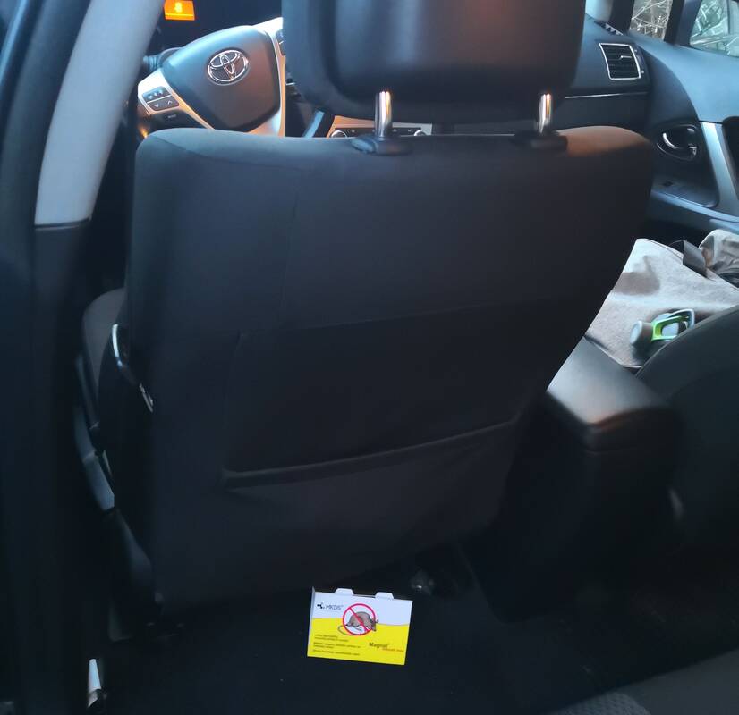 Išeitis: kartais išgaudyti neprašytus smaližius padeda lipnūs spąstai.