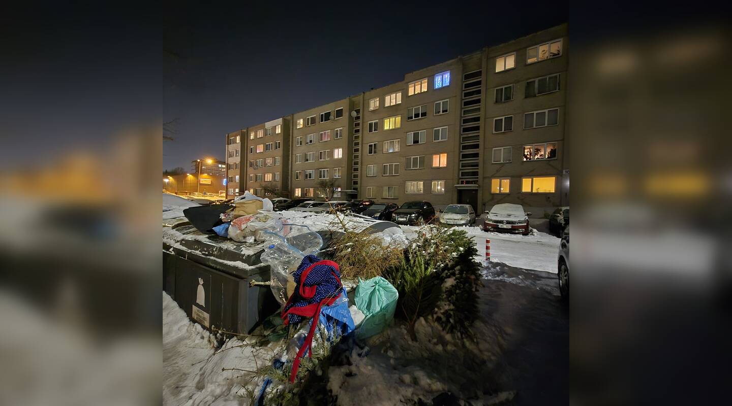 Nemalonu: Debreceno gatvėje prie konteinerių buvo išmesta nemažai eglučių ir kitų atliekų.