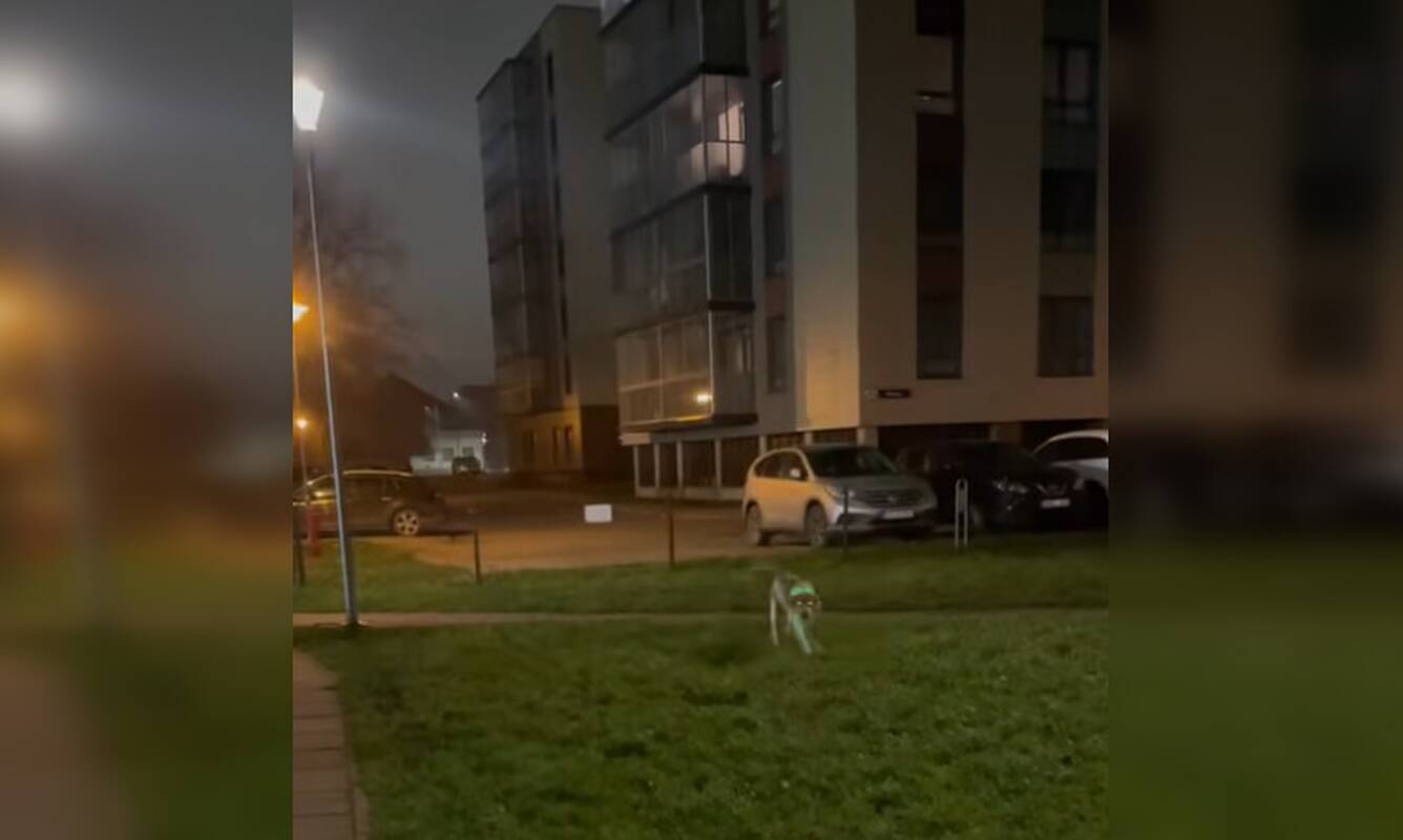 Įrodymas: klaipėdietis užfiksavo Nidos gatvėje prie daugiabučių namų lakstantį palaidą šunį ir jo šeimininką.