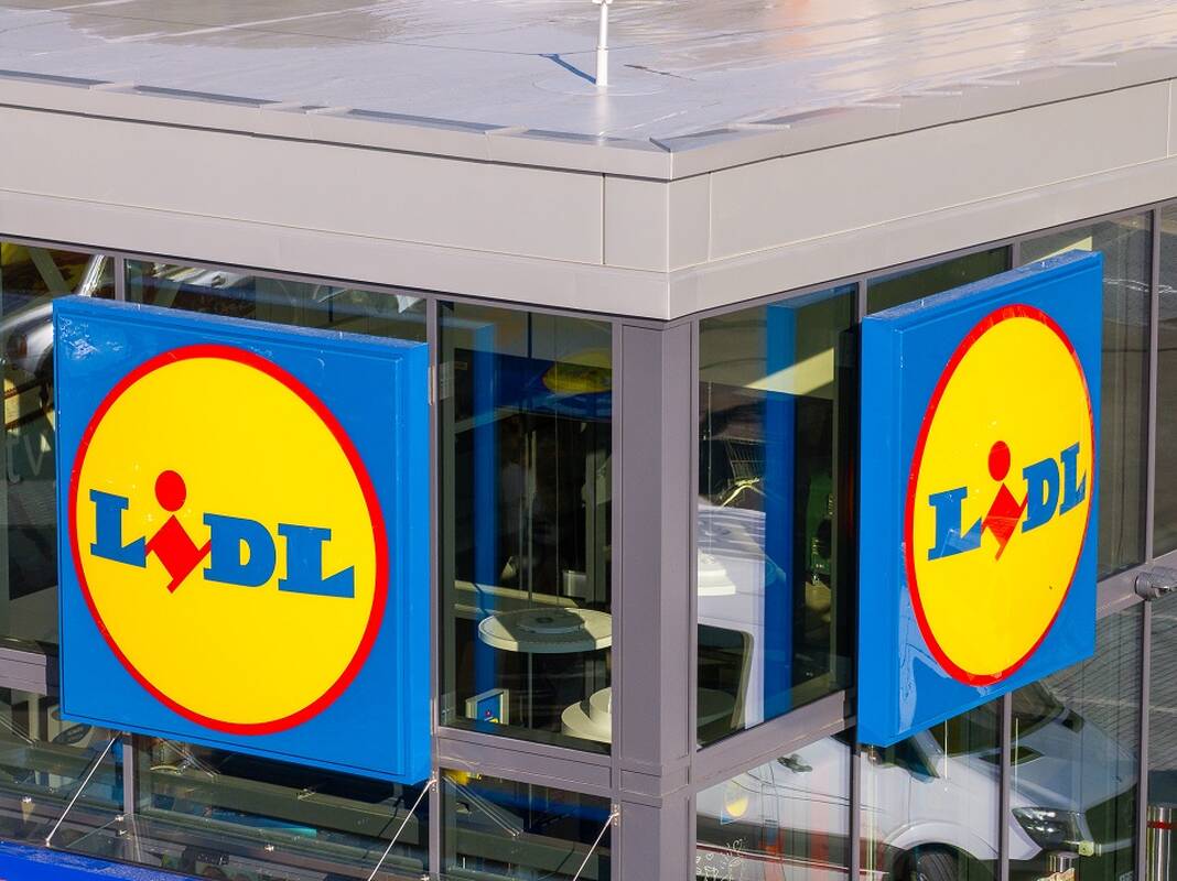 Karjeros galimybės ir solidus priedas: kviečia prisijungti prie buriamos „Lidl“ komandos Garliavoje