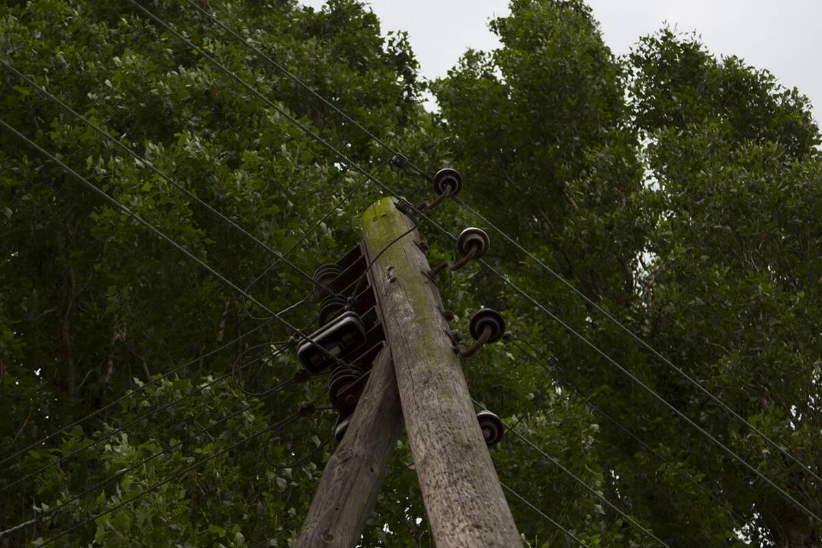 Vaičiūnas: šiemet planuojama nutiesti dukart daugiau elektros kabelių