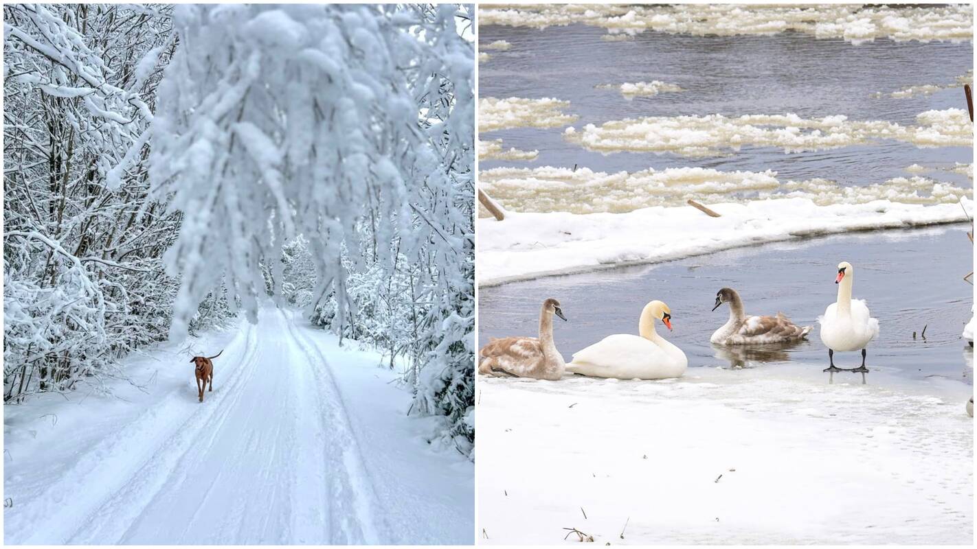 Orai Lietuvoje: šios savaitės akcentas – ne sniegas