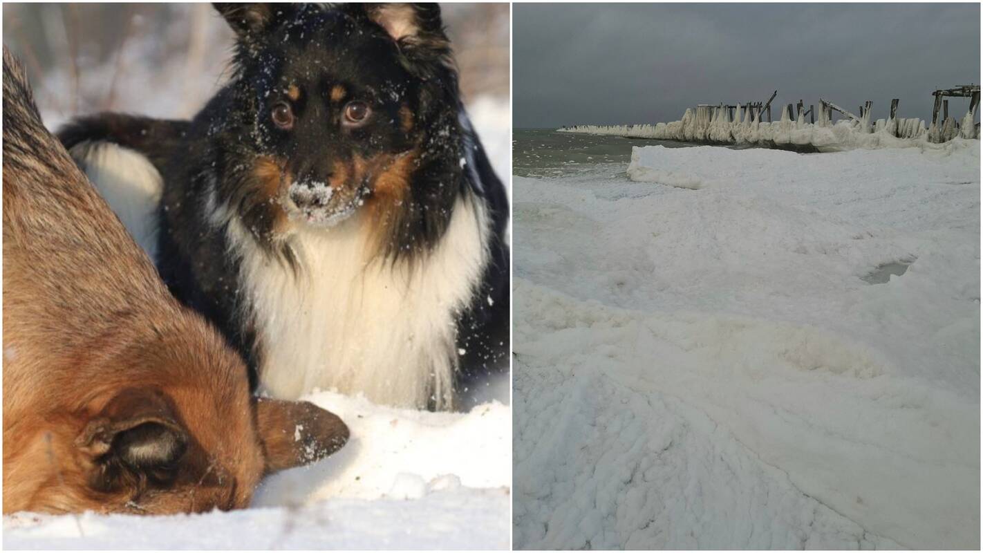 Lietuvos meteorologai: sausio mėnesis taps vienu šalčiausių šiame amžiuje